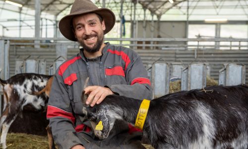 1. FERME DU CHATEAU-4 redm