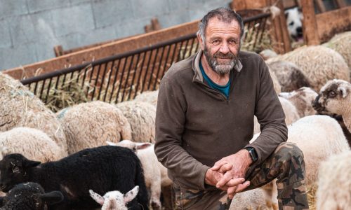 1.GAEC DU SAGNE 21 redm