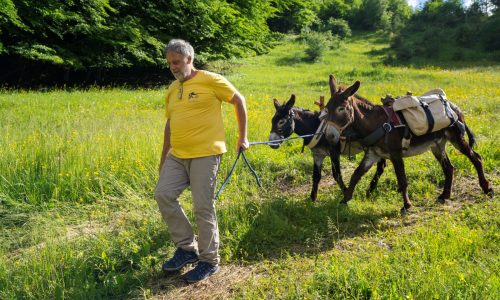 1.G43 TIS’ANE LE VERNET-12 1.G43 TIS'ANE LE VERNET-12