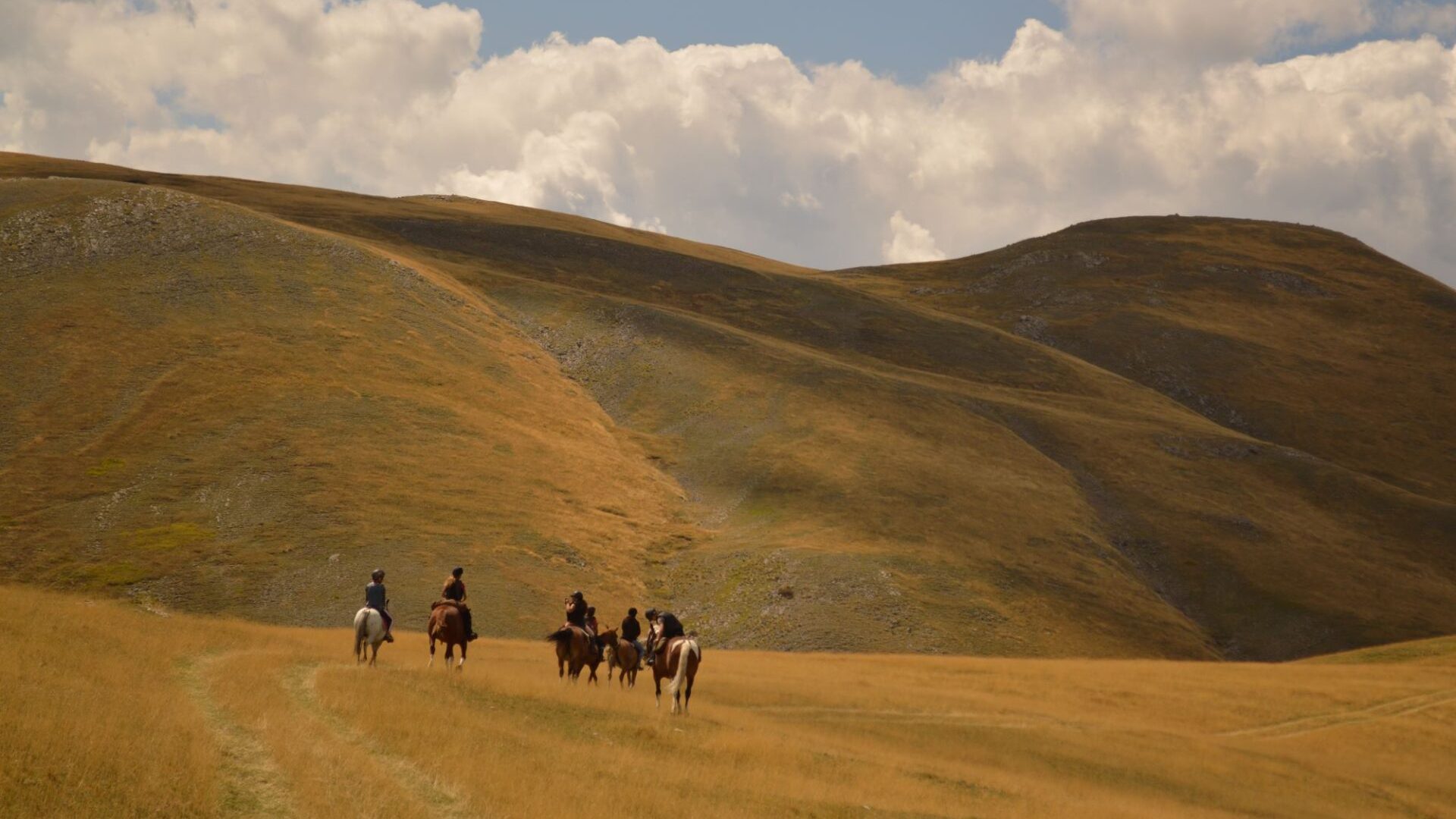 Randonnée_Monges - Randonnée_Monges (© Les Chevaux de Roquépine)