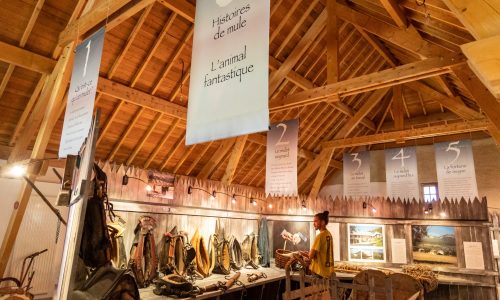expo permanente Maison du Mulet - expo permanente Maison du Mulet (© ©VCC04-Thibaut Vergoz)
