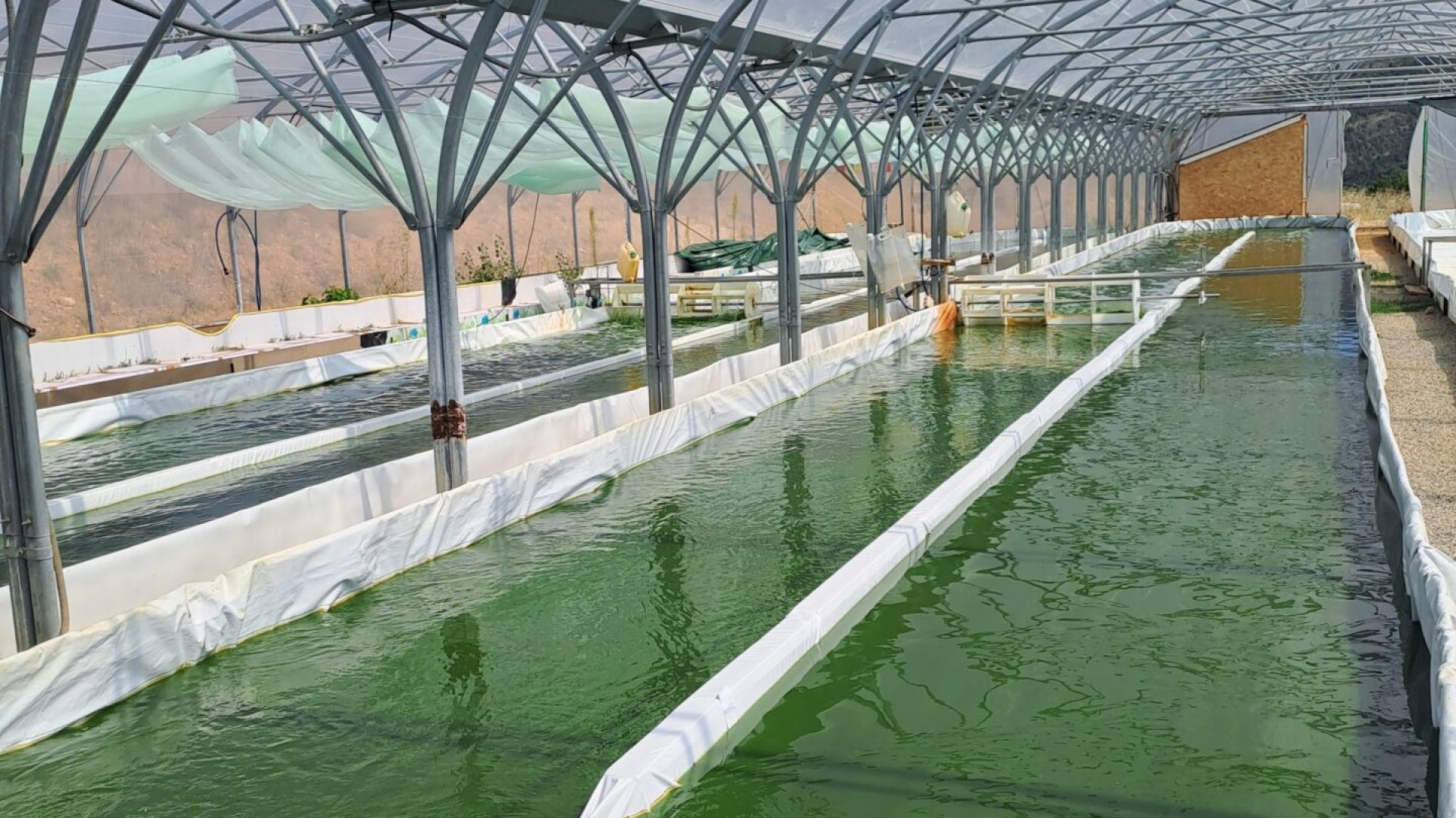 Bassin Spiruline des Sources - Spiruline des Sources (© Copyright Spiruline des Sources)