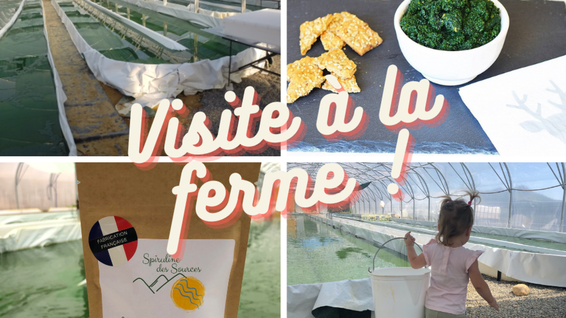 Visite à la ferme Spiruline des Sources - Spiruline des Sources (© Copyright Spiruline des Sources)