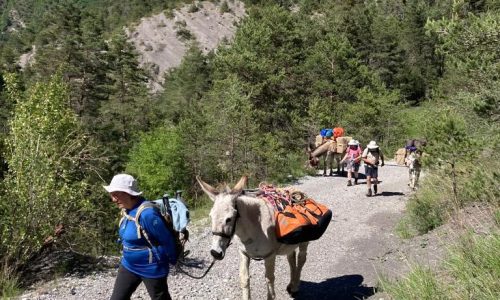 Mandala Voyages - Mandala Voyages (© THEAUDIN Yvan)