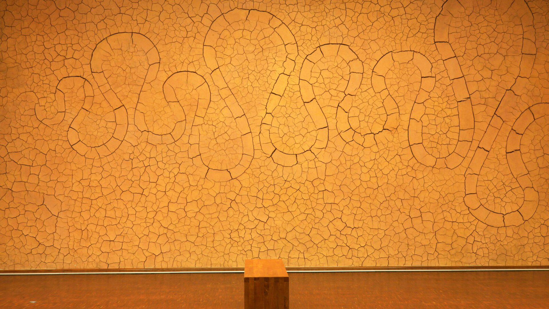 Musée Gassendi - Musée Gassendi (© José Nicolas)