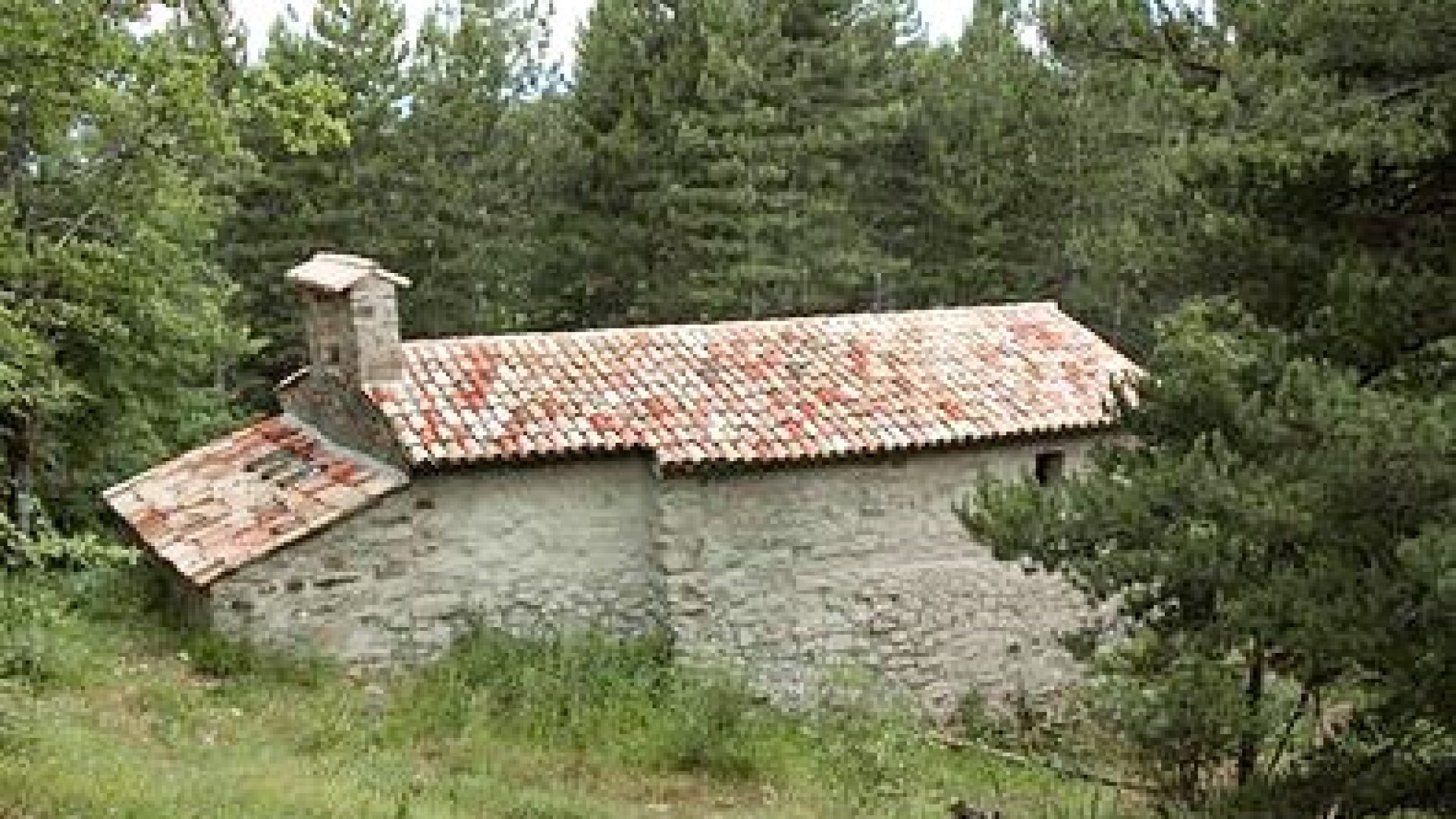 La Forest - La Forest