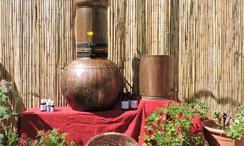 Les Produits de l’Adoux Les Produits de l'Adoux - Les Produits de l'Adoux (© OIT Motte Turriers)