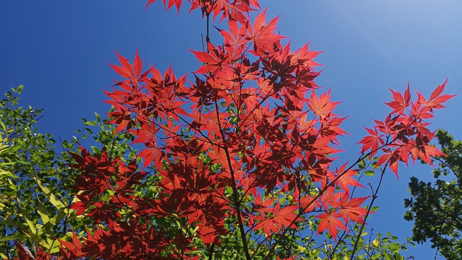 Musée Promenade (© UGHP)