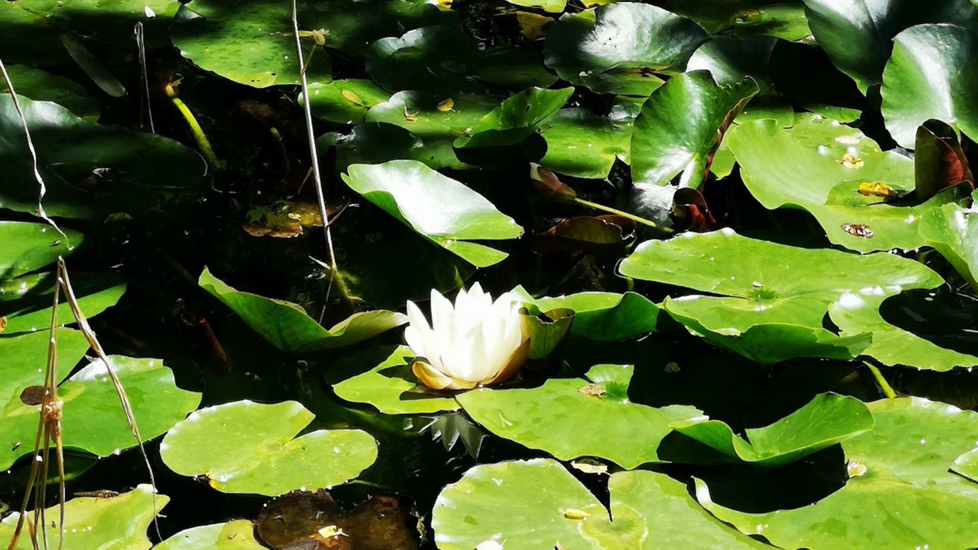 Musée Promenade (© UGHP)