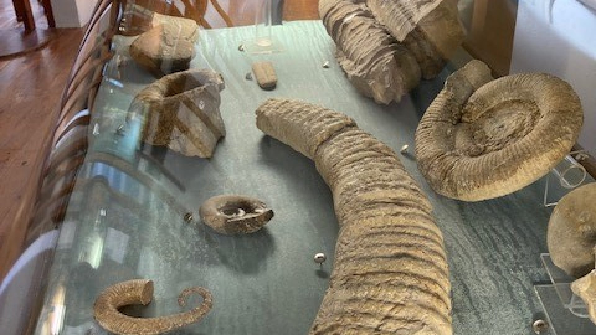 Musée Promenade (© UGHP)