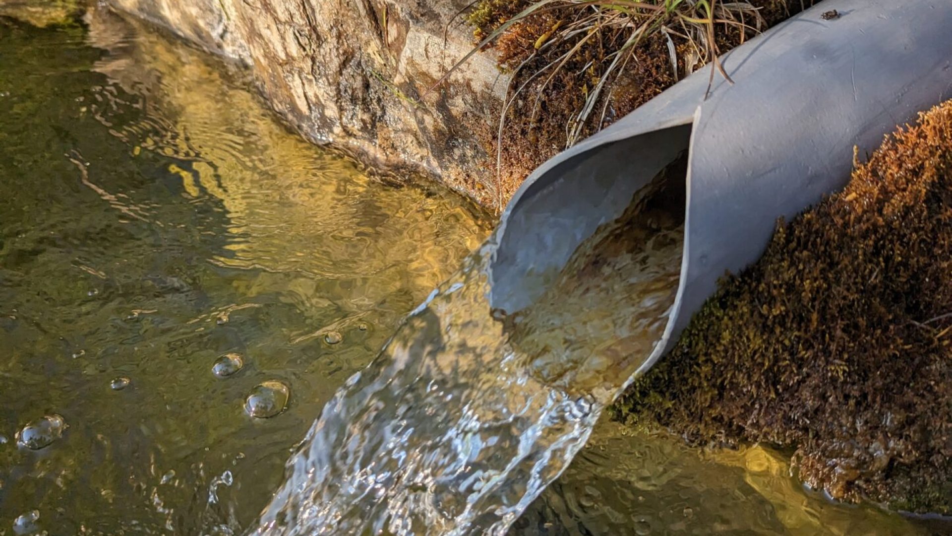 Refuge privé de Gaudichart_Prads-Haute-Bléone - source eau de montagne (© Timothée Trichet)
