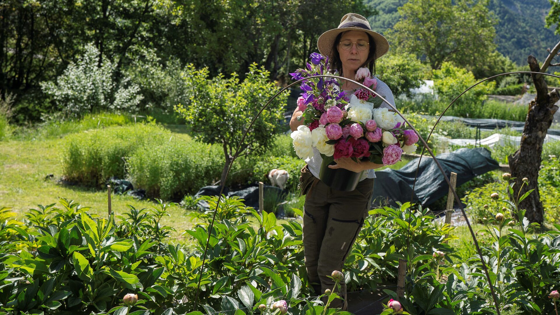 Le Champ des Ombelles (© @madrigalprod)