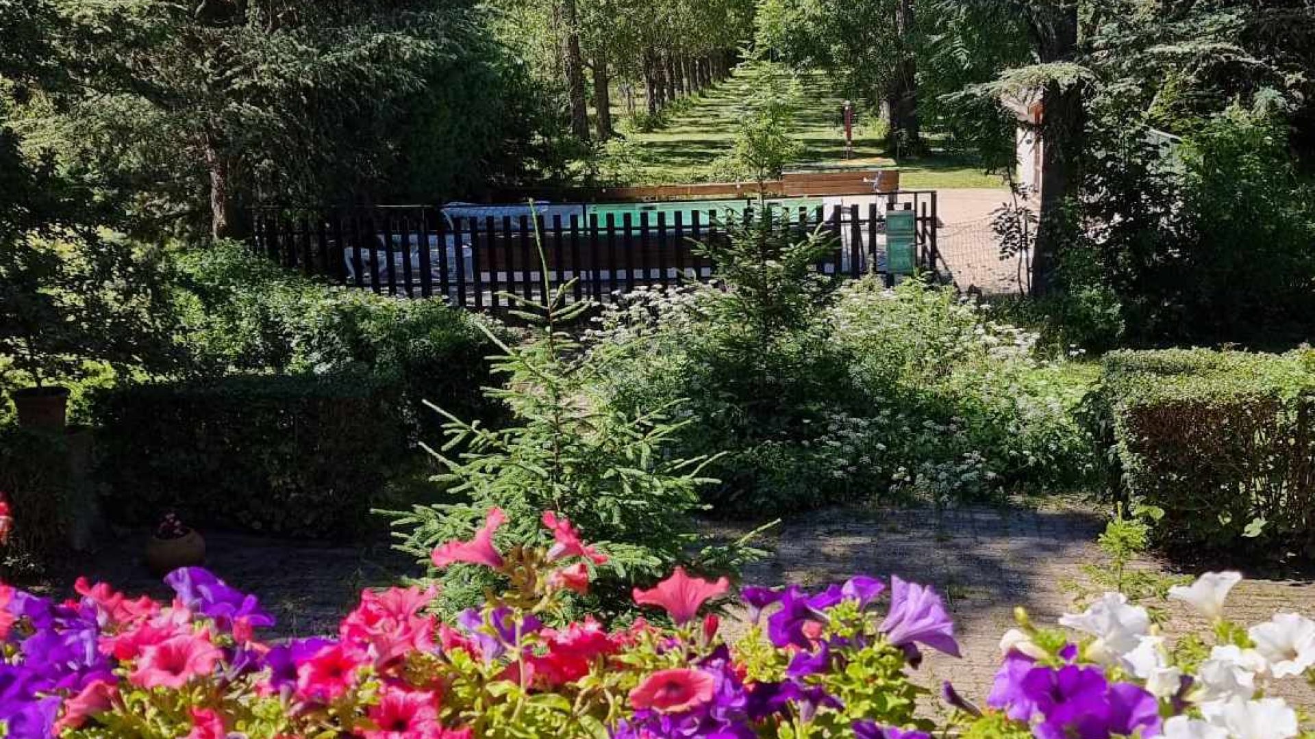 Hôtel le Vieux Tilleul - Jardin (© Pascale GIORDANO)