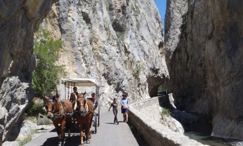 Balade en calèche dans les Clues de Barles - Balade en calèche dans les Clues de Barles (© Les Chevaux de Roquépine)