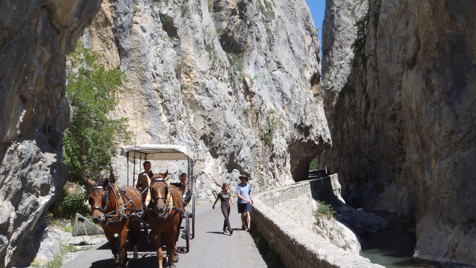Balade en calèche dans les Clues de Barles - Balade en calèche dans les Clues de Barles (© Les Chevaux de Roquépine)
