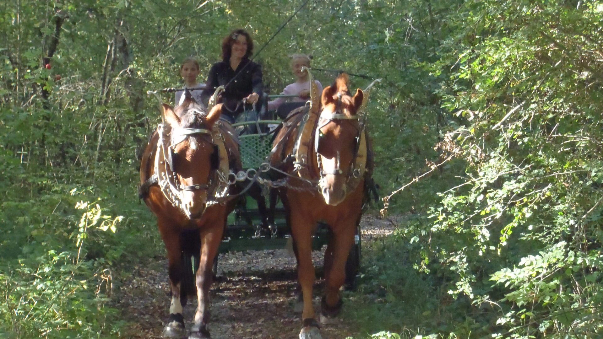 Balade en calèche dans les Clues de Barles - Balade en calèche dans les Clues de Barles (© Les Chevaux de Roquépine)