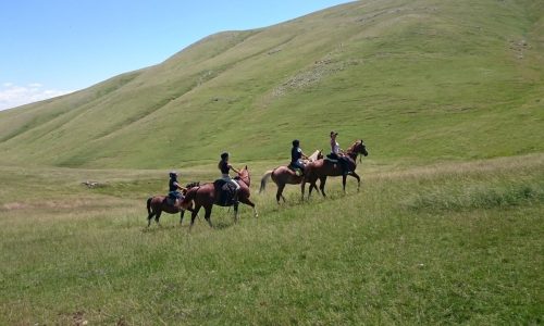 Randonnée itinérante dans les Monges - Randonnée itinérante dans les Monges (© Les Chevaux de Roquépine)