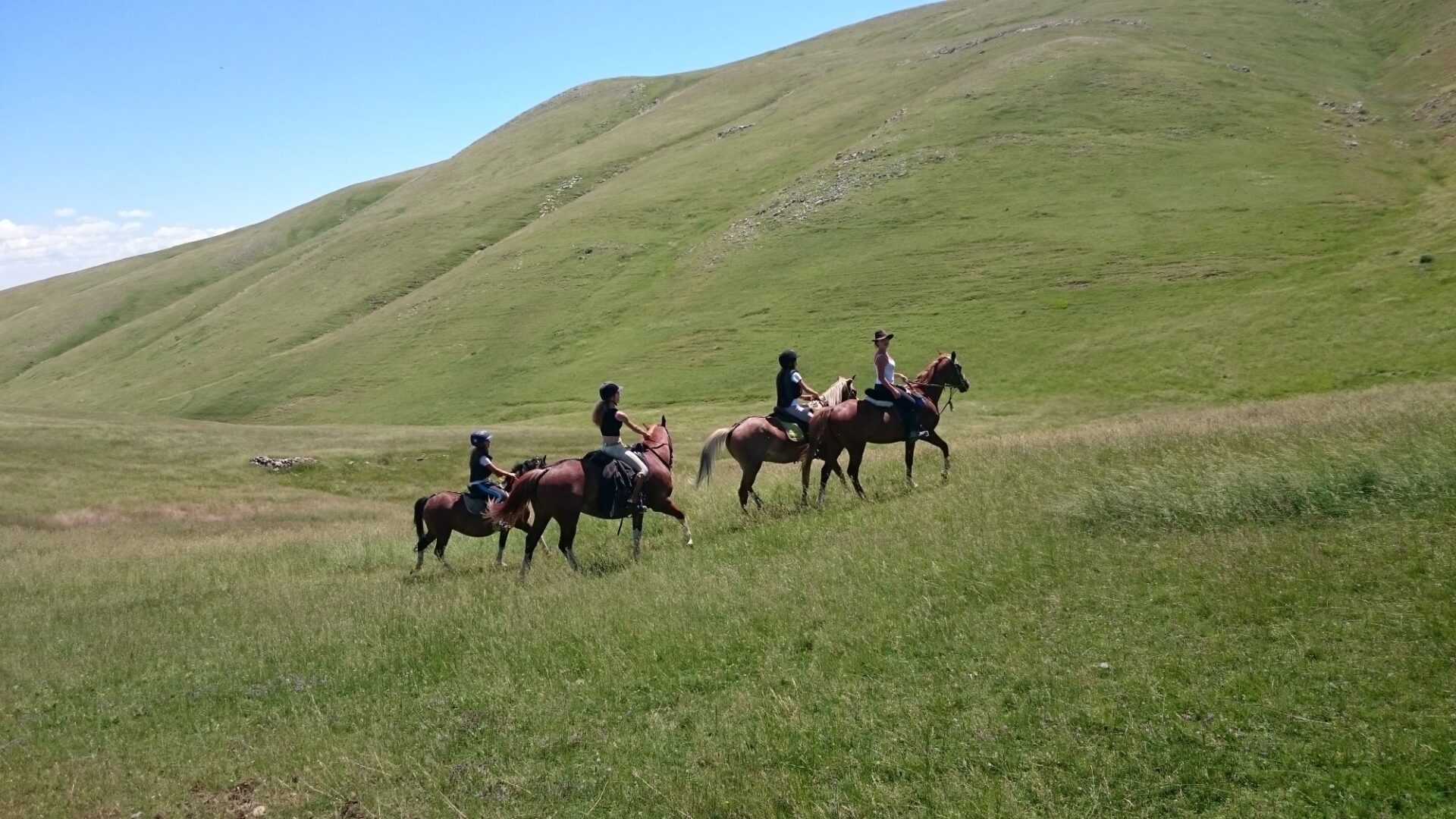 Randonnée itinérante dans les Monges - Randonnée itinérante dans les Monges (© Les Chevaux de Roquépine)