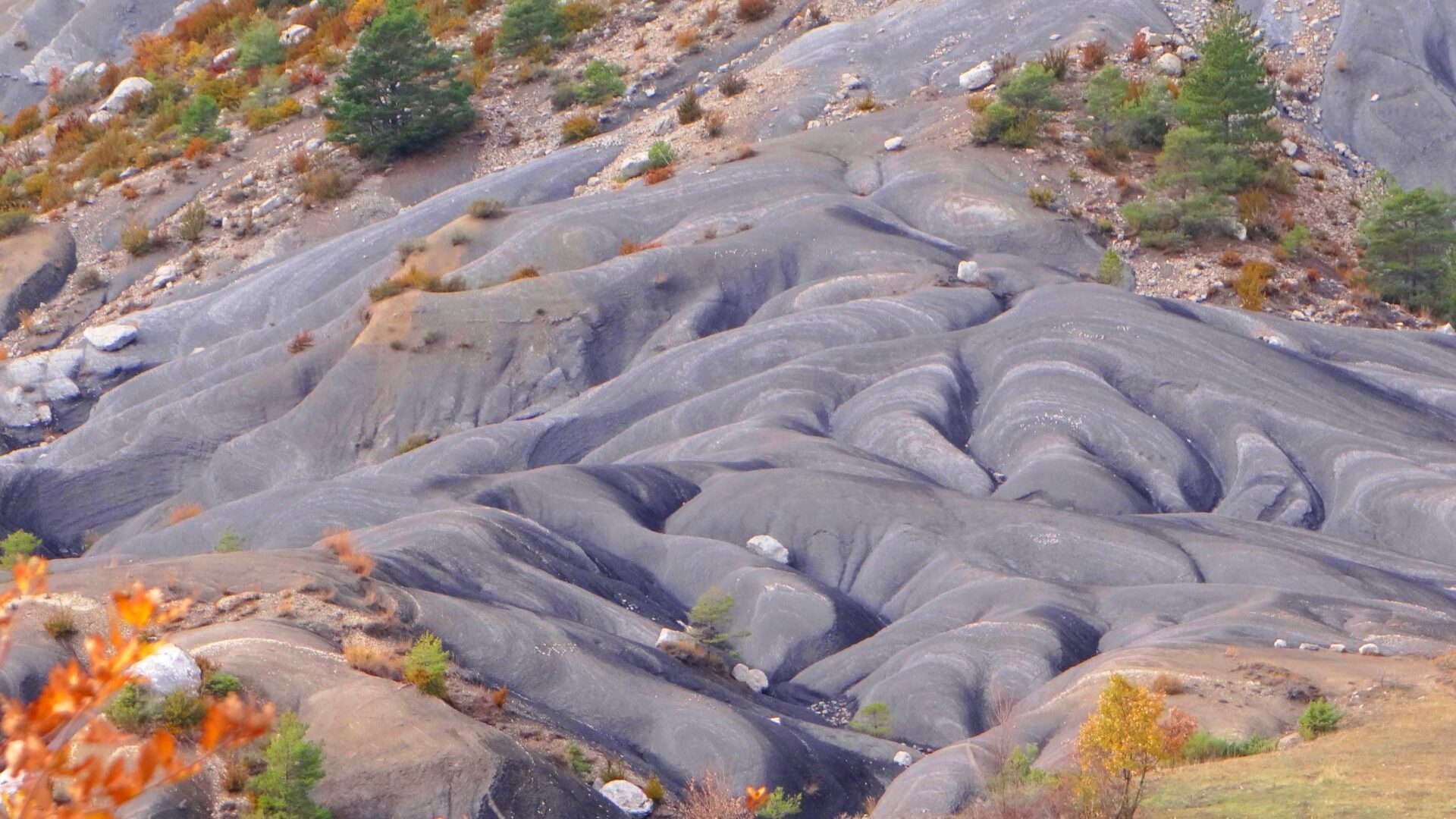 Terres noires - Digne-les-Bains - Terres noires-Digne (© M.Caron)