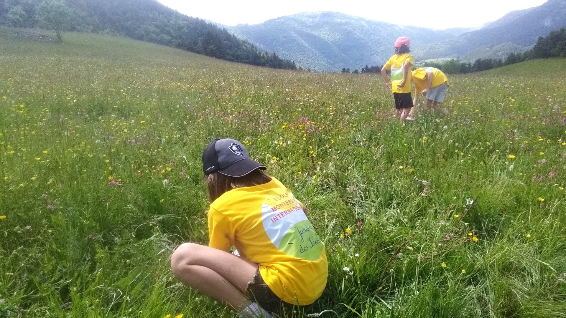 Animation scolaire - Vallée de la Blanche - Sortie scolaire (© M.Caron)