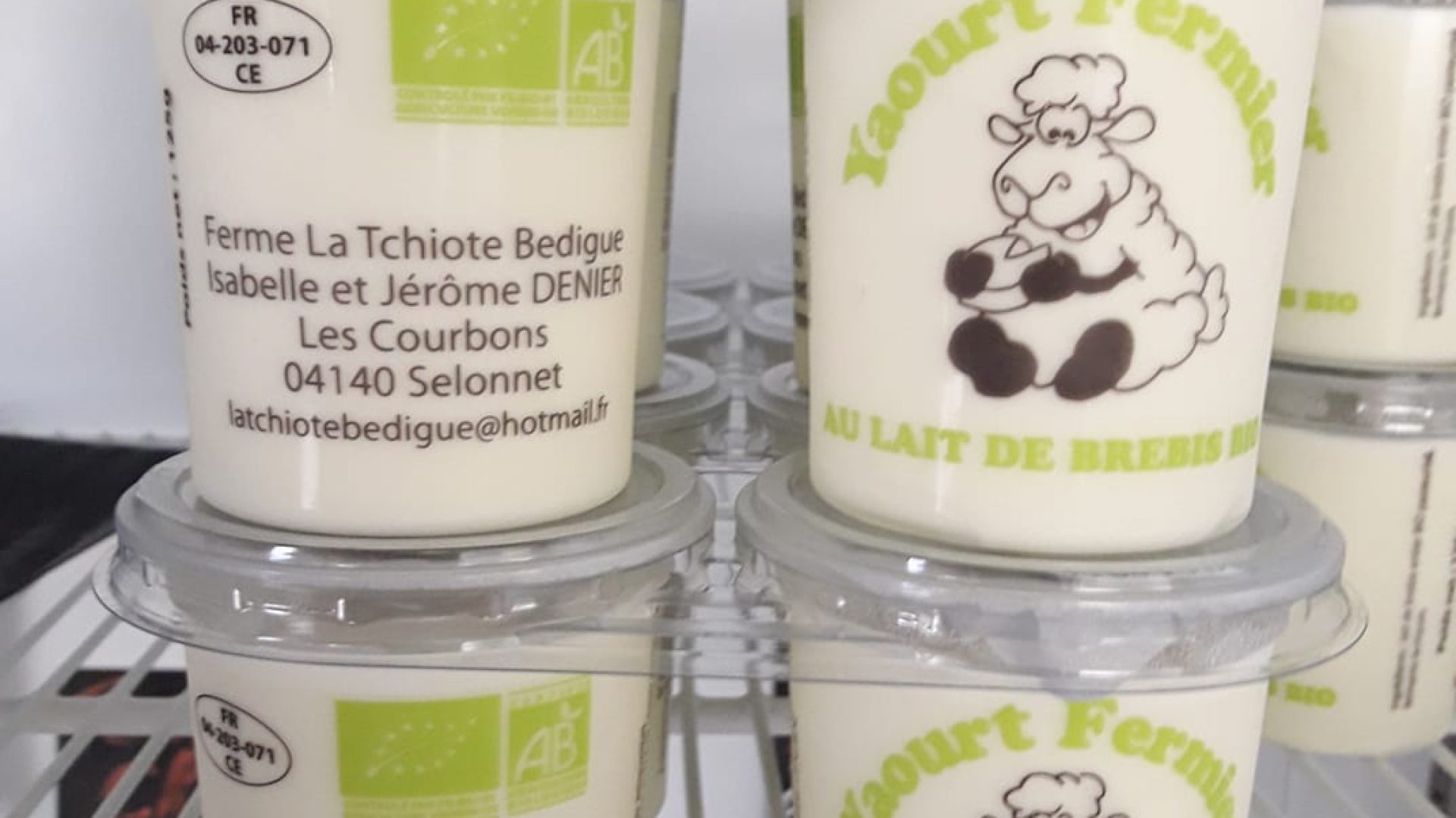 Yaourt nature - Yaourts au lait de brebis (© GAEC La Tchiote Bédigue)