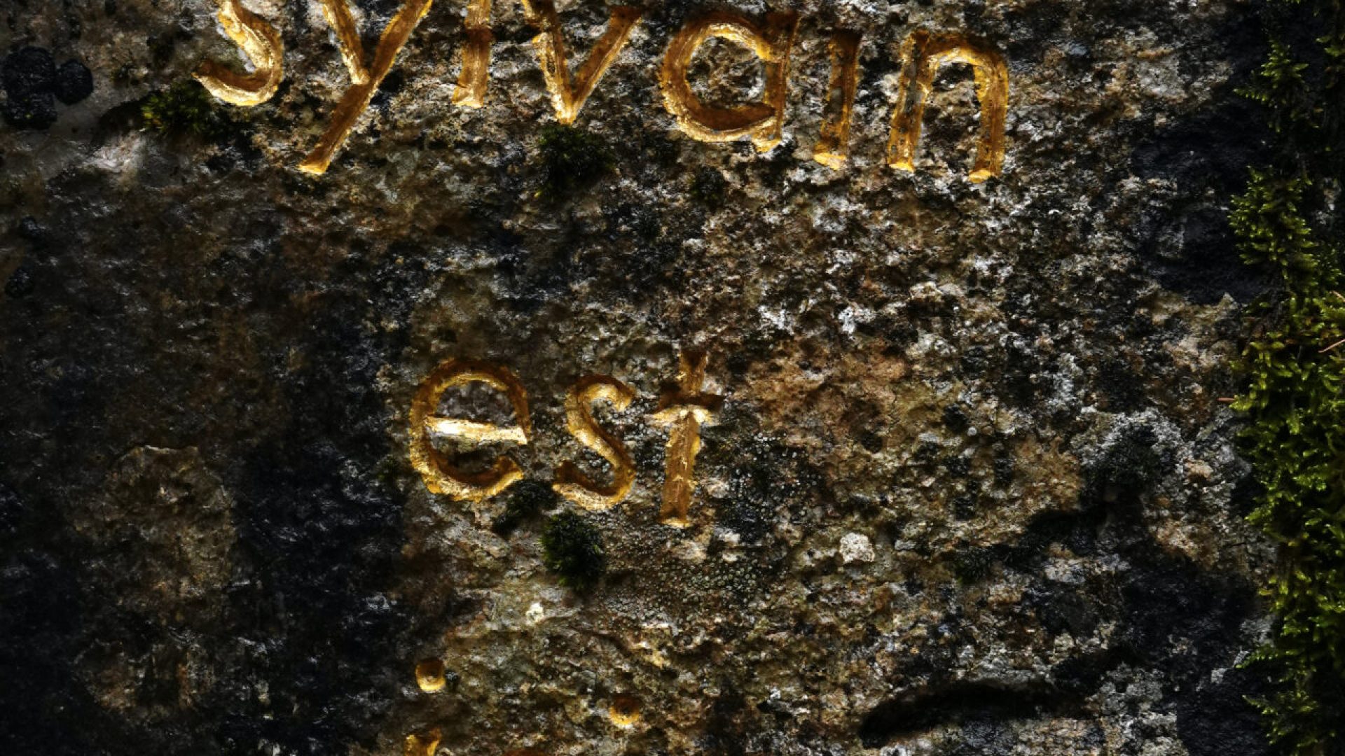 Trace - herman de vries - vallée du Bès - Trace d'herman de vries (© C.Goussot)