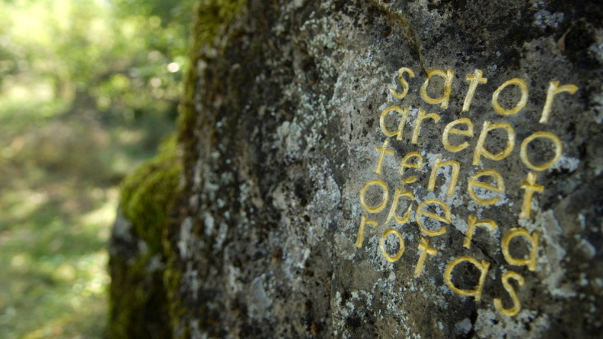 Trace de herman de vries (© lenaturographe)