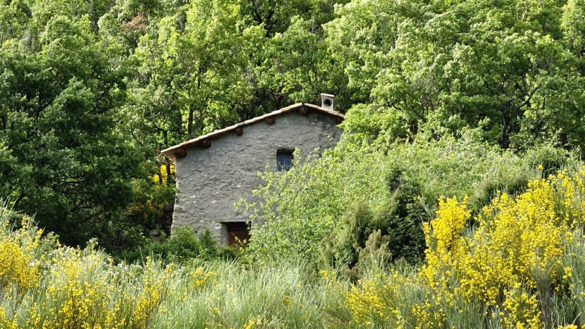 Refuge d'art de la ferme Belon. Collection d'art en montagne du musée Gassendi (© Luc Richard)