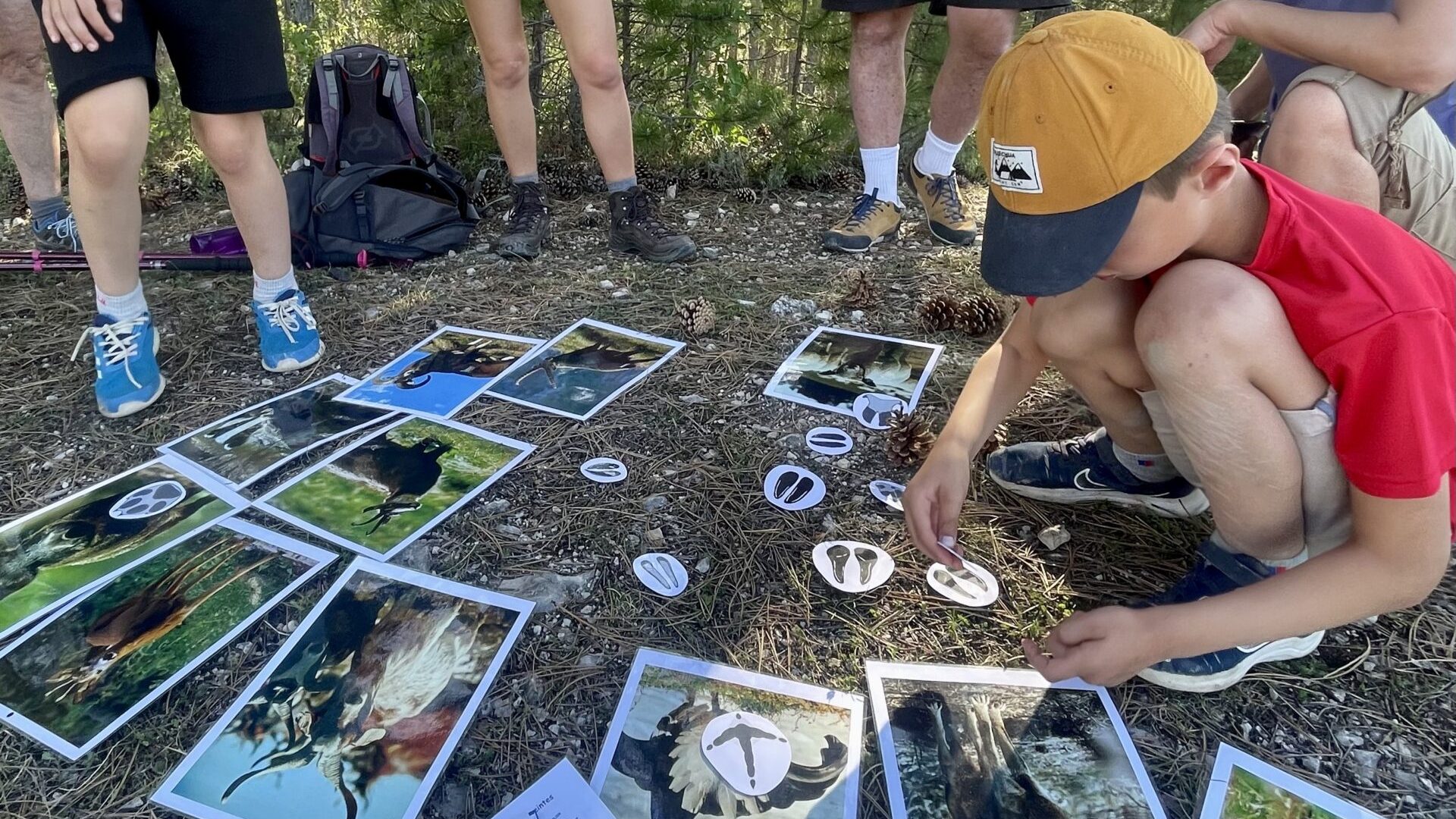 Education à l'environnement - sorties scolaires (© © autres versants)