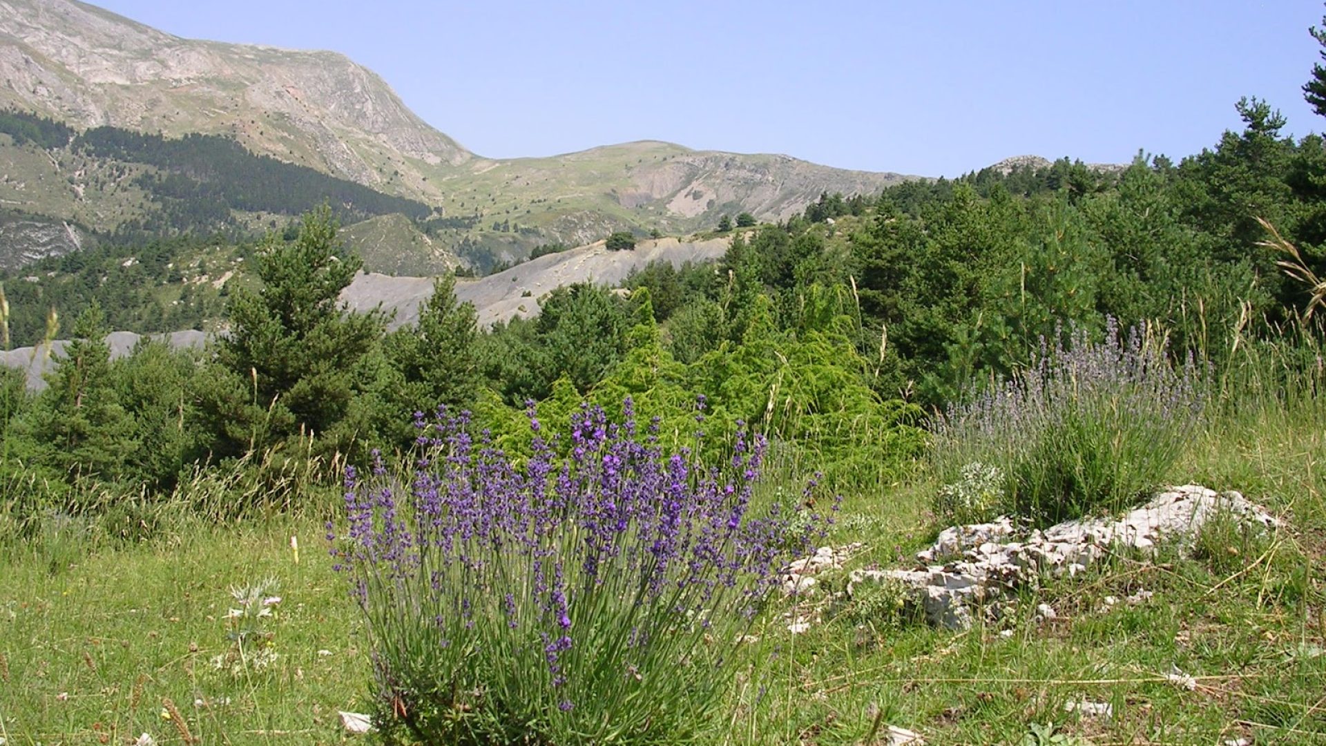 Appartement T3 Le Galabre (© jacky collieux)