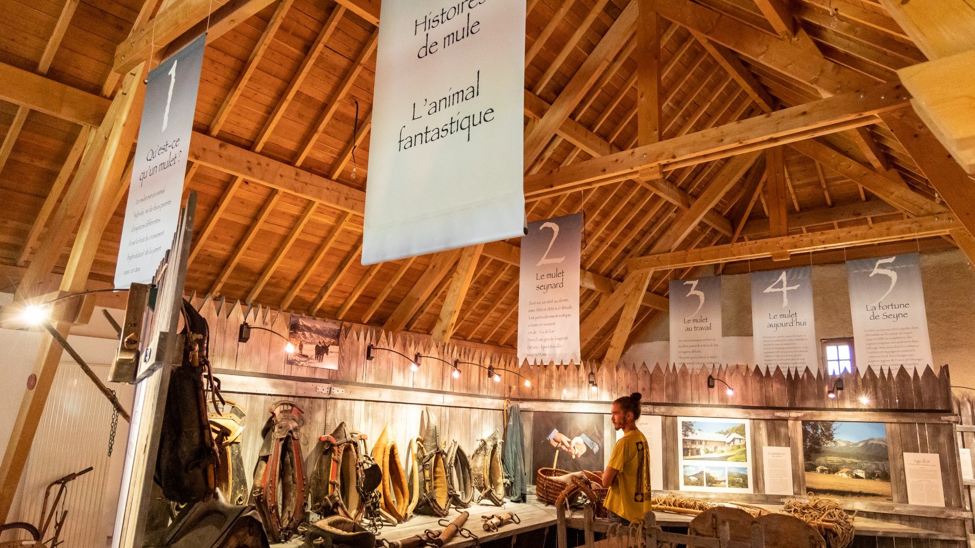 la Maison du Mulet - expo permanente Maison du Mulet (© ©VCC04-Thibaut Vergoz)