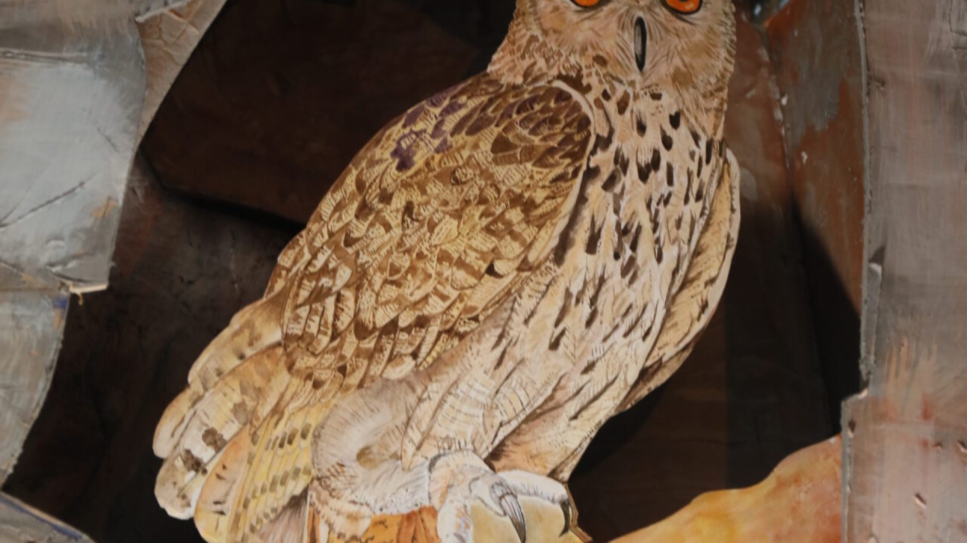 la Maison du Mulet - Exposition 