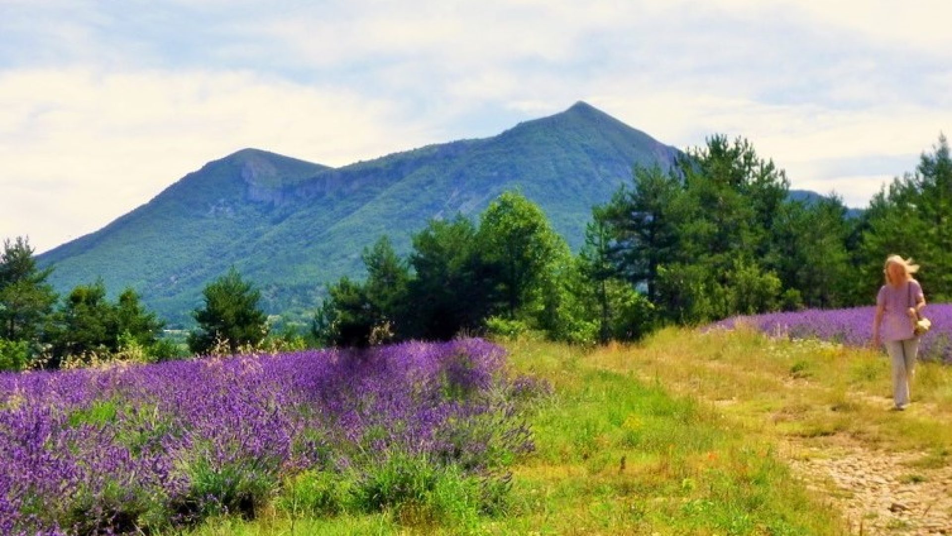 Promenade autour du Gîte Villa Flora (© Gîtes la Bastida Flora)