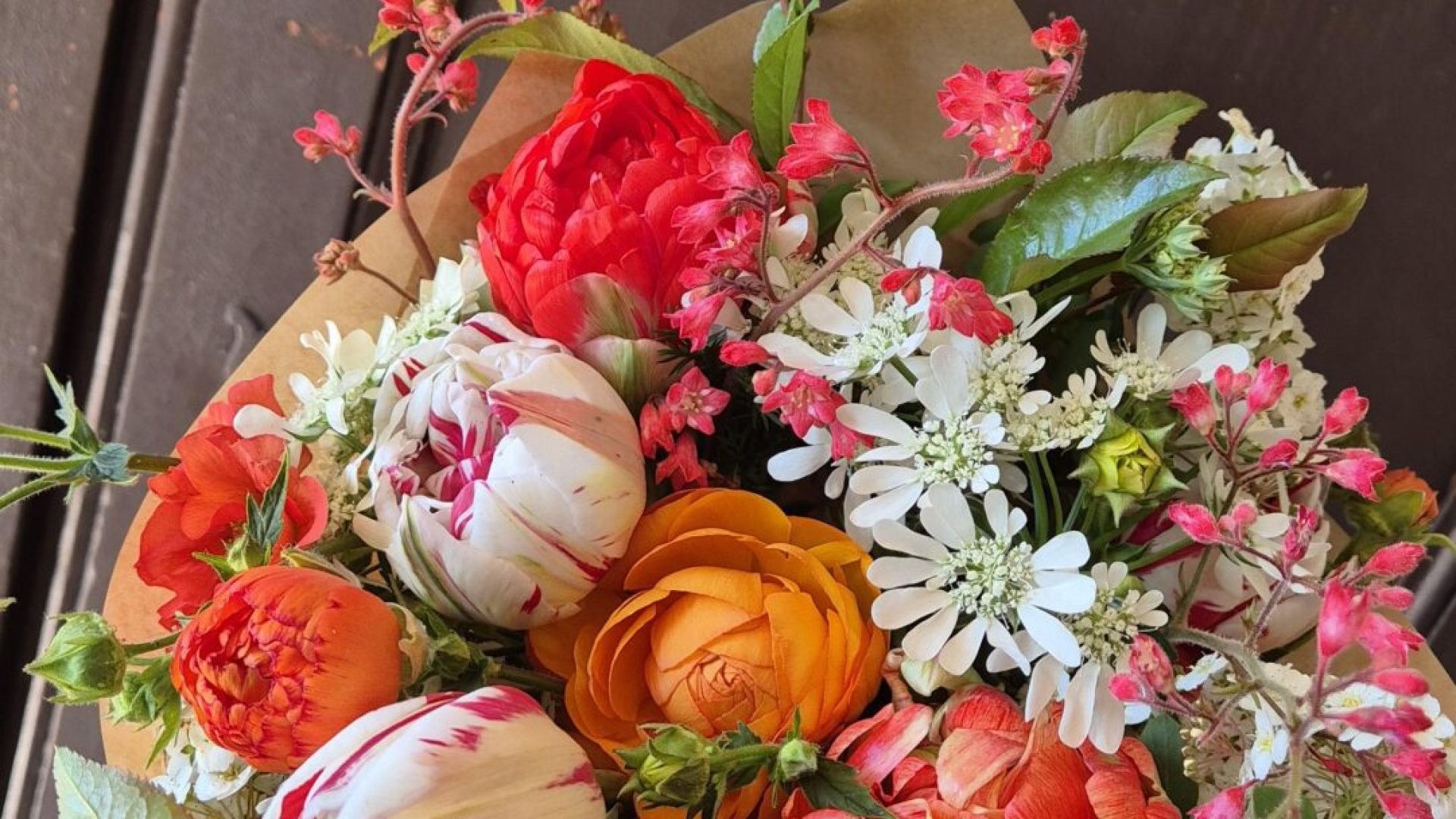 Le Champ des Ombelles (© Joëlle stordeur)