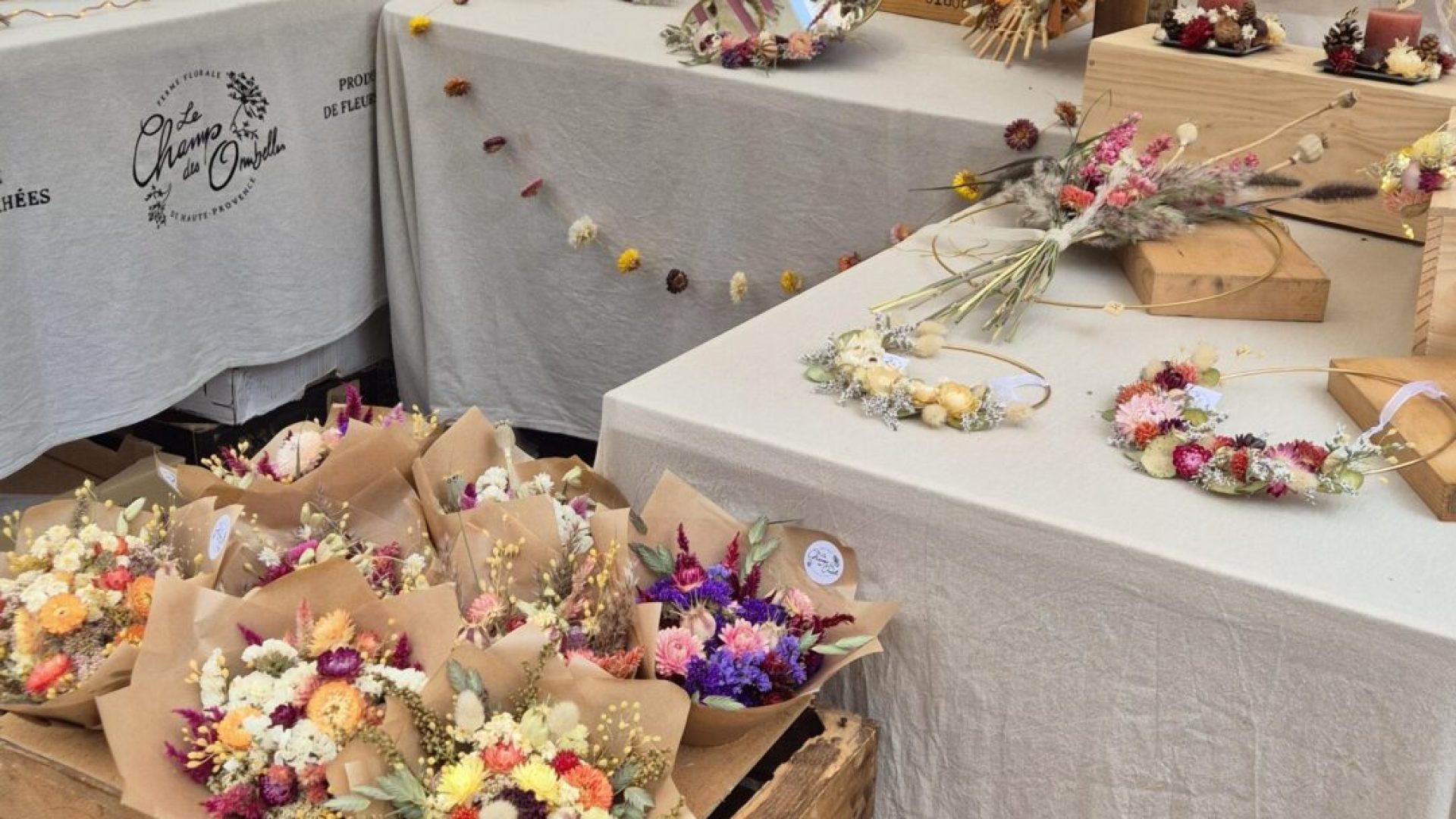 Le Champ des Ombelles (© Joëlle stordeur)