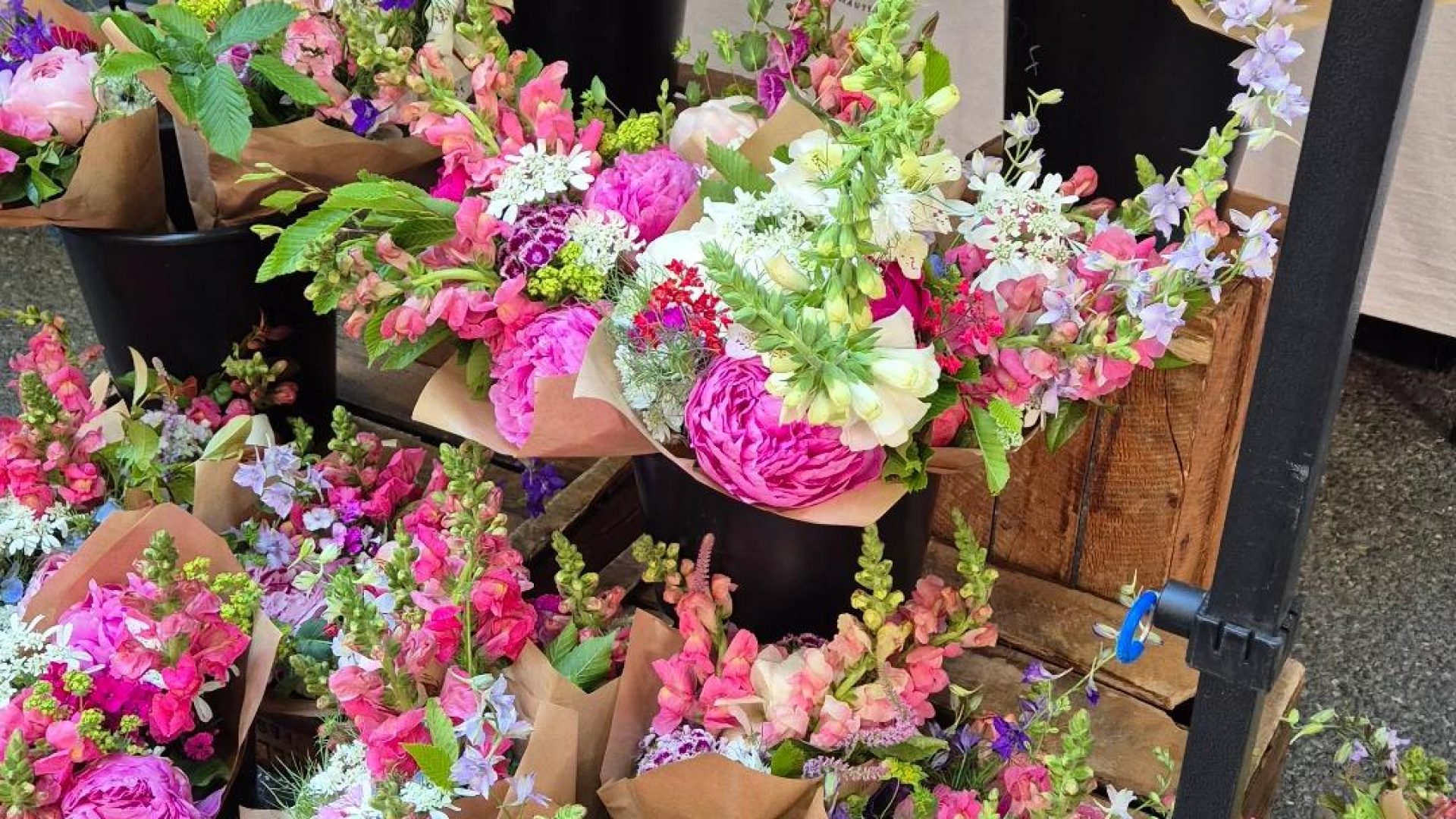 Le Champ des Ombelles (© Joëlle stordeur)