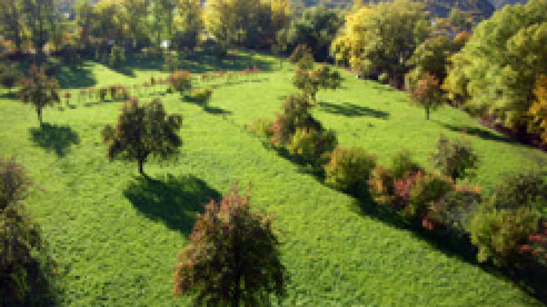 Les vergers de la Javie - Vergers (© UNESCO GEOPARC)