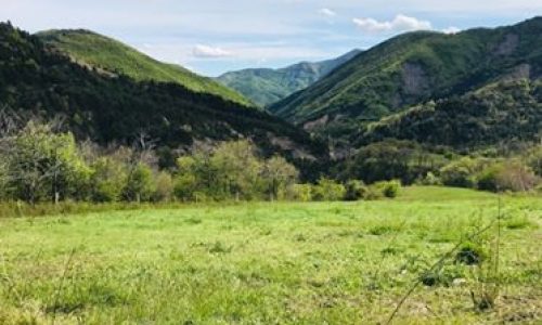 6208786 GAEC La ferme du Château