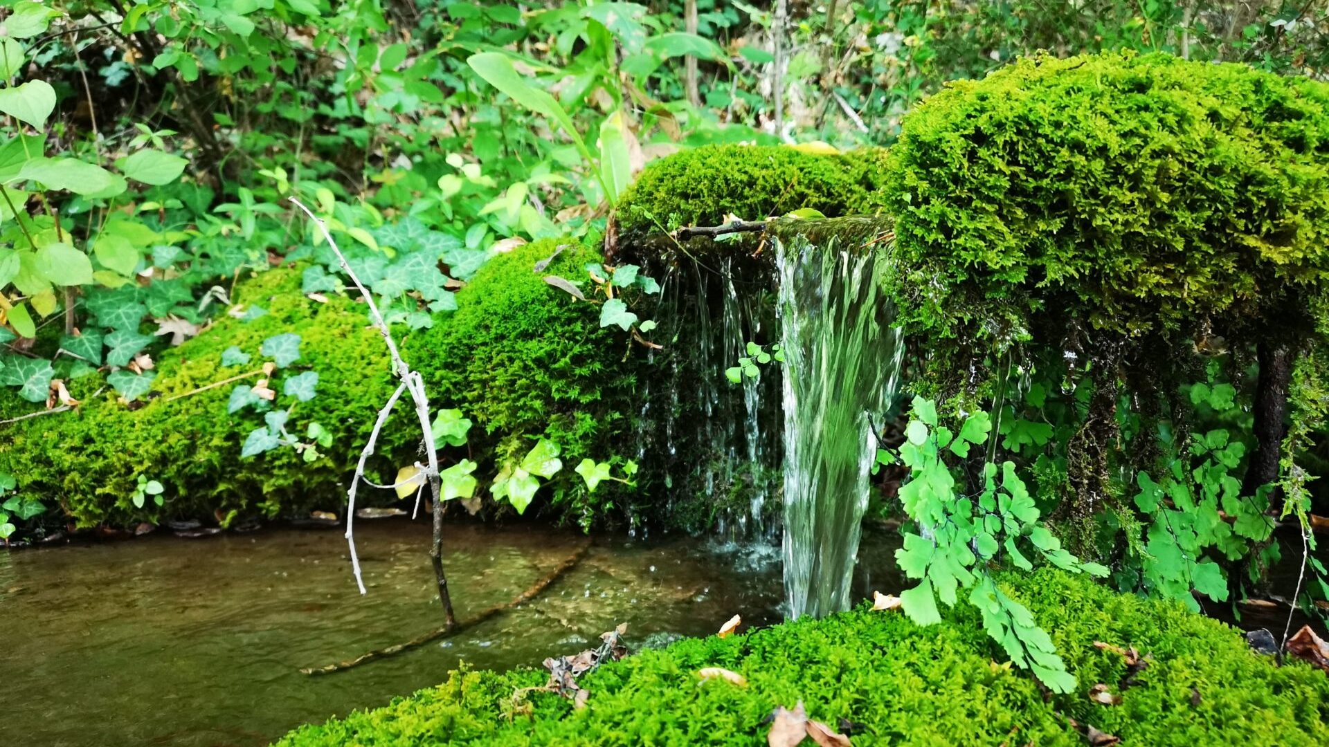 Musée Promenade (© Musée Promenade)