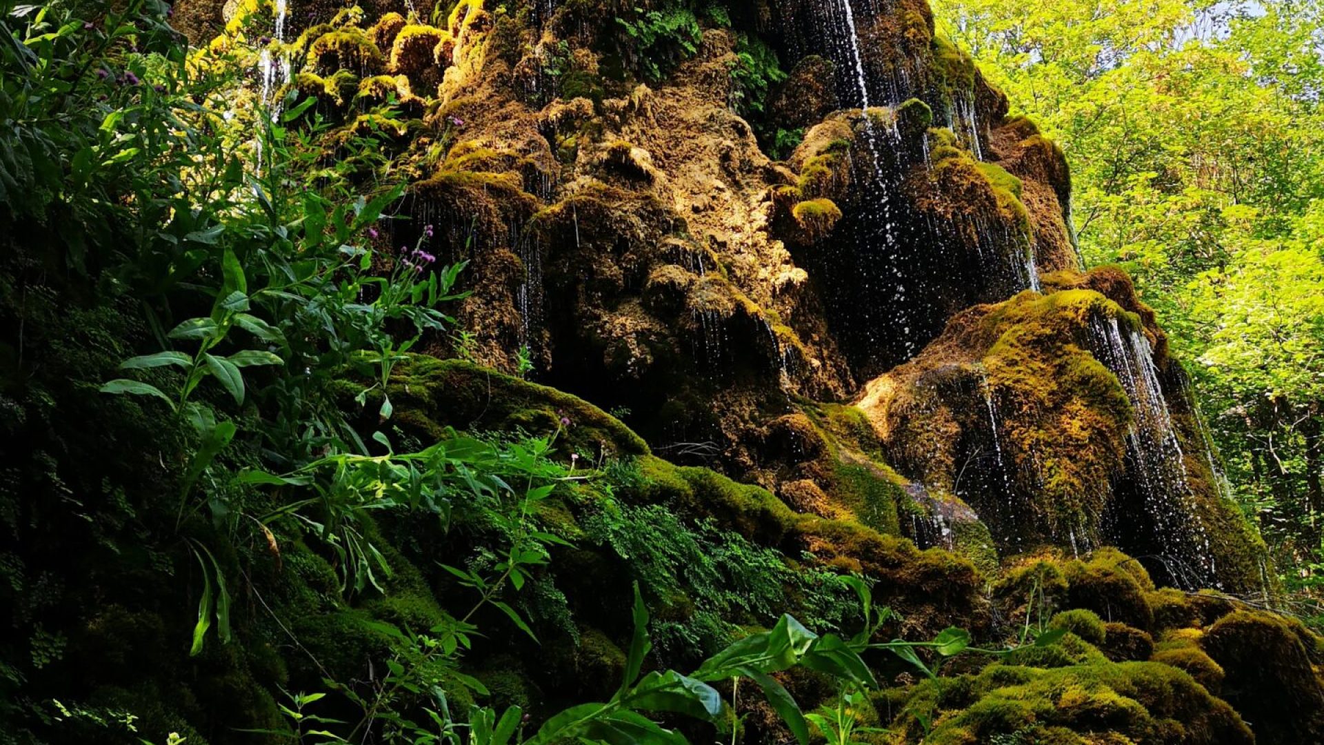 Musée Promenade (© Musée Promenade)