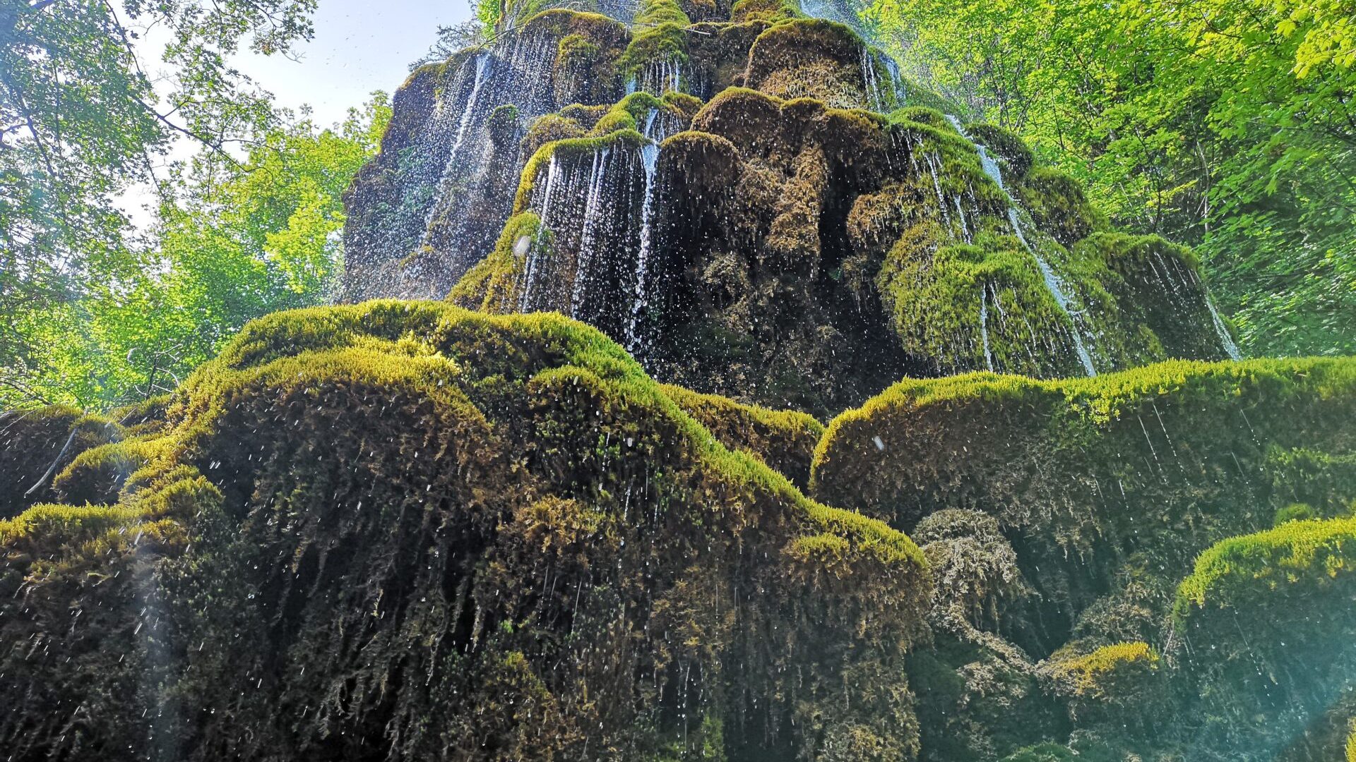 Musée Promenade (© Musée Promenade)