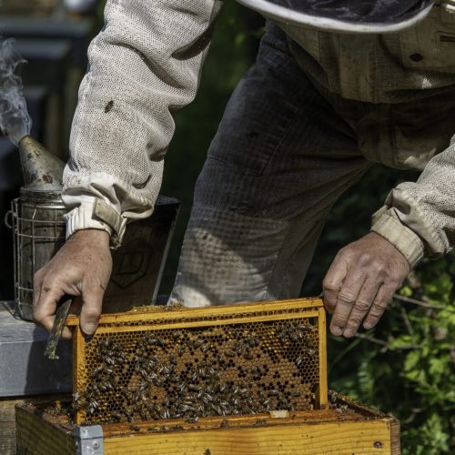 Producteurs & Artisans