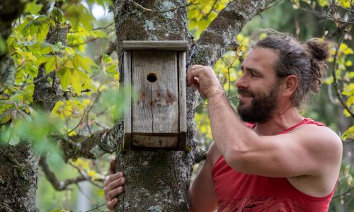 Association AIDE Association AIDE