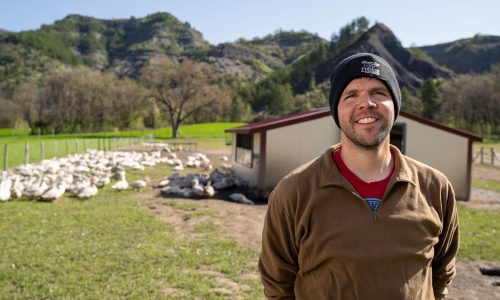 GAEC LA ROBINE DES CANARDS