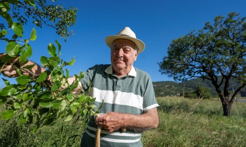 Gaec étoile du Berger PELESTOR